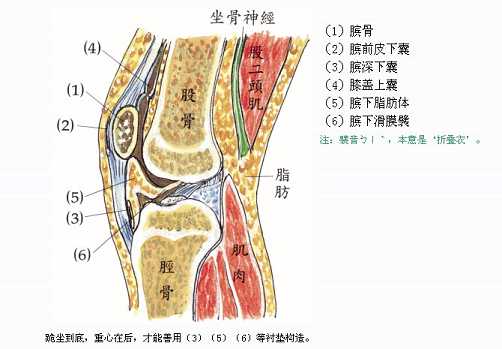 拜佛与医学 第十一讲