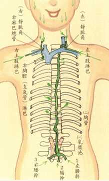 拜佛与医学 第七讲