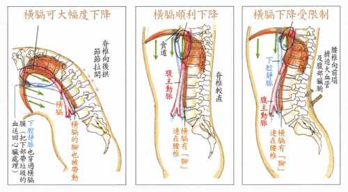 拜佛与医学 第二十四讲