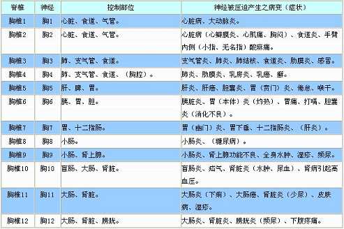 拜佛与医学 第七讲