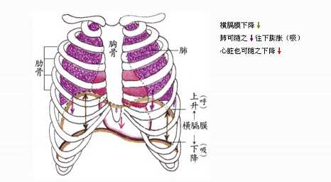 拜佛与医学 第二十四讲