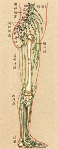 拜佛与医学 第七讲