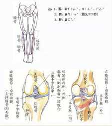 拜佛与医学 第十一讲