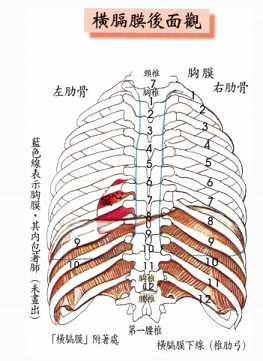 拜佛与医学 第二十四讲