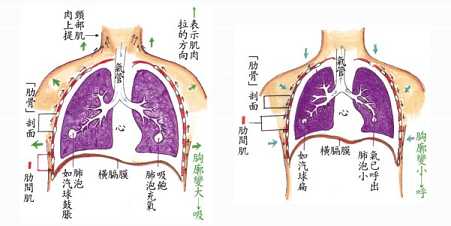 拜佛与医学 第二十四讲