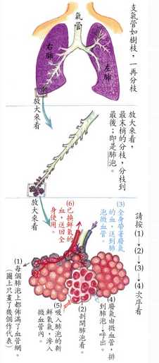 拜佛与医学 第二十四讲