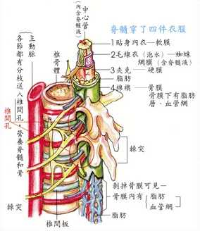 拜佛与医学 第六讲